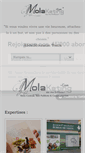 Mobile Screenshot of molaketing.com